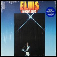 www.elvis-vinyl-world (9)