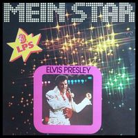 Elvis Vinyl World (2)